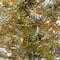 4ft. Pre-Lit Champagne Tinsel Artificial Christmas Tree, Clear Lights
